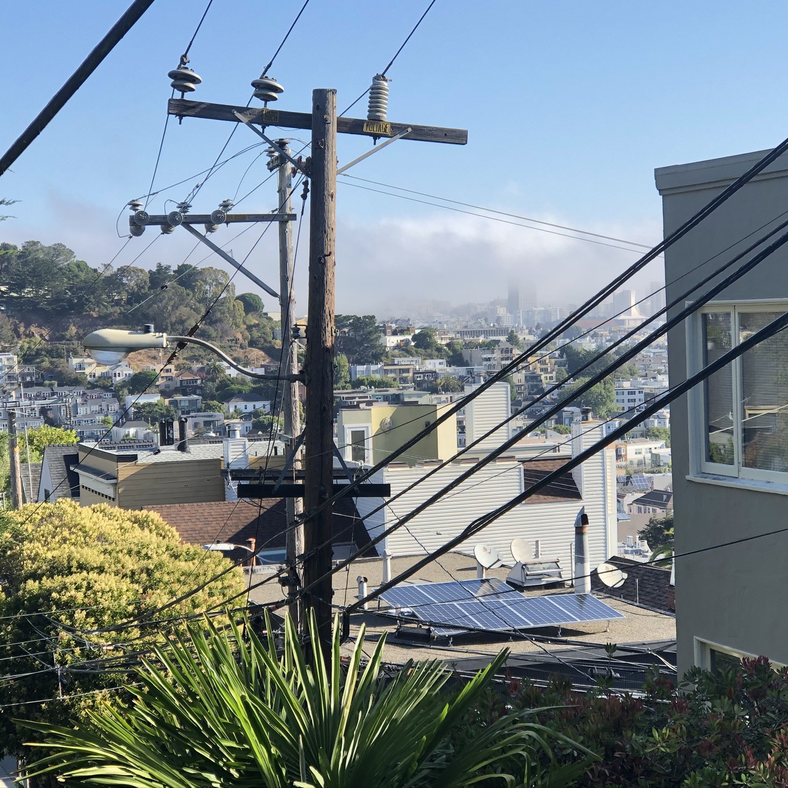 Power lines in a San Francisco neighborhood. Trees are to the right and a grey apartment building to the left. 